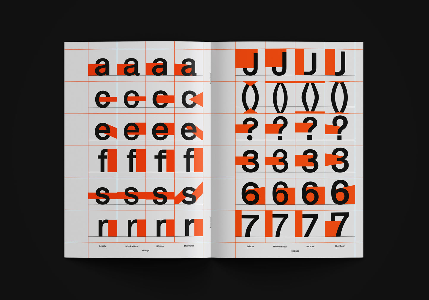 Selecta Type Specimen