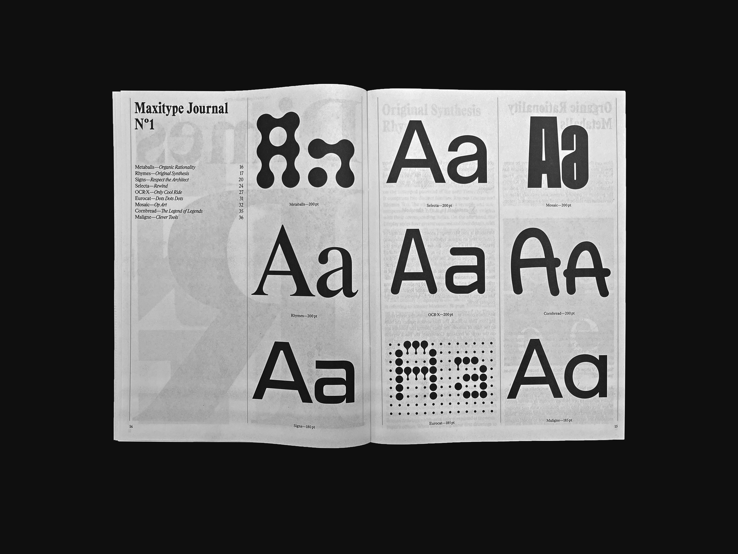 Maxitype Journal №1